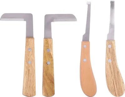 Immagine prodotto di Coltello per zoccoli con lama diritta per mancini e destrorsi, strumento di rifinitura per bovini e cavalli