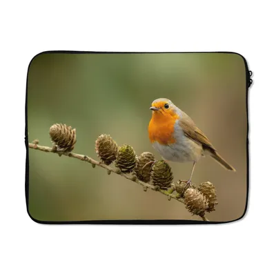 Produktbild von MuchoWow® Laptop Hülle 15 Zoll Vogel - Rotkehlchen - Tannenzapfen - Zweig - Herbst Laptoptasche - Laptoptasche - Sleeve - Rundum-Schutz