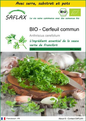 Image de SAFLAX Ensemble de culture -- Cerfeuil commun - 800 graines - Anthriscus