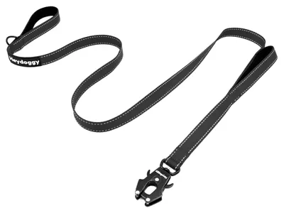 Image de Laisse pour chien, 1,8 mètre - Nylon réfléchissant avec double poignée