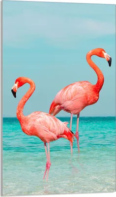 Produktbild von Glasschneidebrett 30x52 Flamingo