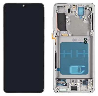 Produktbild von Samsung Galaxy S21 5G Display (mit Rahmen) Phantom Grey (grau)