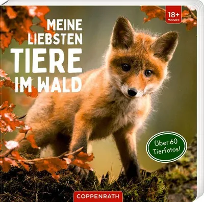 Produktbild von Meine liebsten Tiere im Wald