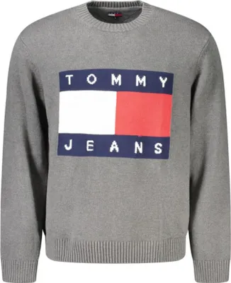 Obrázek produktu pro Mikina Tommy Hilfiger DM0DM22105PU2 pro Pánské