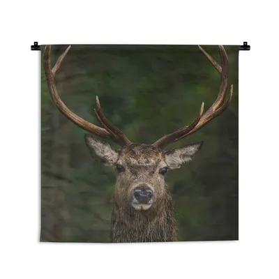 Produktbild von MuchoWow® Wandteppich Wandbehang Hirsch - Geweih - Natur 60x60 cm Tapisserie Dekoration Wandtuch - Dekorationen - Wand Decke