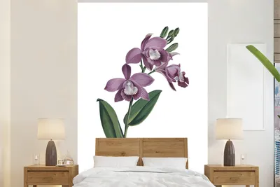 Produktbild von Fotobehang Orchidee-Paars, 225 cm x 350 cm