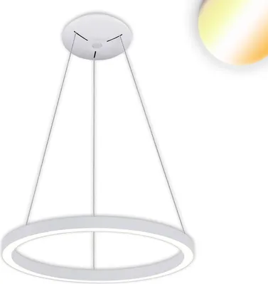 Produktbild von ISOLED LED Hängeleuchte Circle 580 weiß, 48W, rund, ColorSwitch 3000/3500/4000K, dimmbar