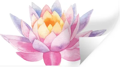 Produktbild von MuchoWow® Wandtattoo Wandsticker Wandaufkleber Aquarell - Blume - Seerose 160x80 cm Selbstklebend und Repositionierbar - Sticker - Dekorfolie