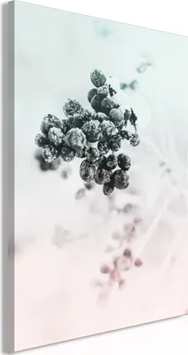 Produktbild von Italienischer Leinwand Leinwandbild - Frozen Twig (1 Part) Vertical 40x60 cm Blumen b-C-0554-b-a