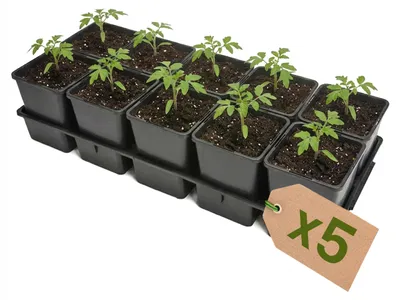 Image de Garronda, plateau de culture 5 pièces, support pour pots de culture pour serre (plateau de culture avec 10 pots de 1,25 L) GD-KW-T