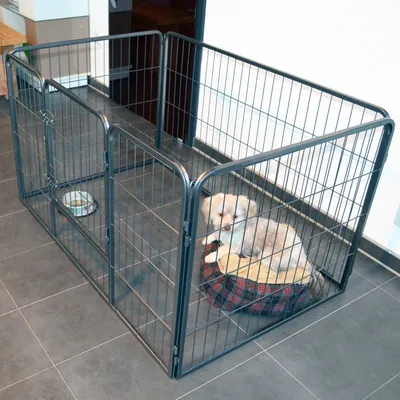 Produktbild von zooprinz Welpenauslauf | Dog Run S | Metall | 70,5 cm hoch | 4 Elemente | Witterungsbeständig