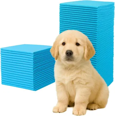 Immagine prodotto di Ale-commerce 100x Traversine Igienici Cani 60x60 cmTappetini Addestramento Cuccioli 6 Strati Super Assorbenti Impermeabili Asciugatura Rapida