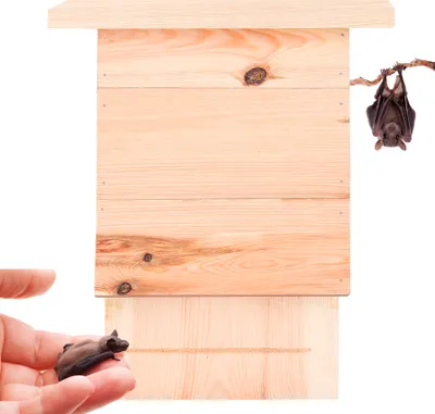 Produktbild von BigDean Großer Fledermauskasten aus Massivholz - Fledermaus Nistkasten - Hand Europe - Fledermaushaus fertig montiert