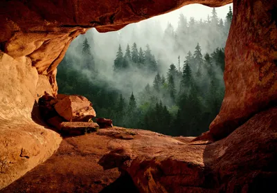 Produktbild von Vlies Fototapete 3D EFFEKT Wald im Nebel (312x219 cm - 3 Bahnen) Baum Ansicht Blick Landschaft inkl. Kleister - Wohnzimmer Schlafzimmer Flur Vliestapete Wandtapete Modern Tapete Latexdruck UV-Beständig Montagefertig