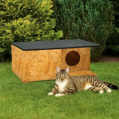 A cat is lying on the grass next to a wooden outdoor cat house.