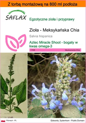 Zdjęcie produktu dla SAFLAX - Garden in the bag - Zioła - Meksykańska Chia - 500 Nasiona - Z podłożem uprawowym w praktycznej, samorozkładającej się torbie - Salvia hispanica