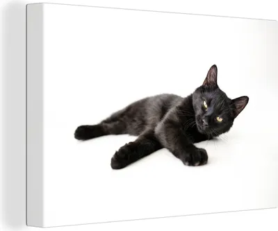 Produktbild von OneMillionCanvasses® - Leinwandbilder - 140x90 cm, Liegende schwarze Katze, Wandbilder Kunstdruck Wanddekoration