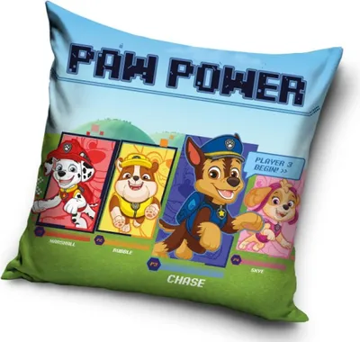 Produktbild von Paw Patrol Kissenbezug 40 x 40 cm