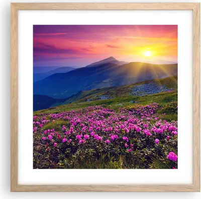 Produktbild von Gerahmtes Poster - Rahmen in heller Eiche - Wiese Berge Landschaft - 40x40 cm - Wand Bild - Wanddeko - Wandbilder - Wandposter - Bilderrahmen - Bilder - Kunstdruck - Wandbild - P2NAC40x40-2676
