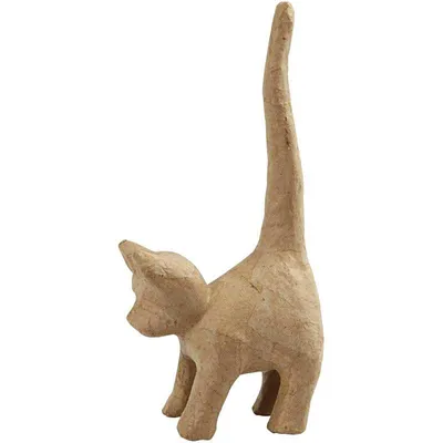 Immagine prodotto di Gatto