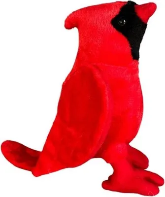 Produktbild von Roter Kardinal, 16 cm – Dubi
