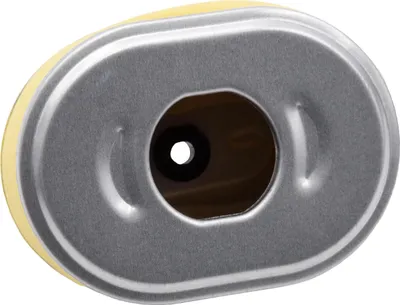 Produktbild von vhbw Filter Ersatz für Lesco 034182 für Rasenmäher - 10,1 x 7,2 x 5,1 cm
