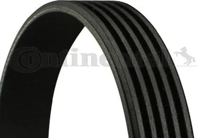 Produktbild von Contitech Keilrippenriemen  5Pk1010