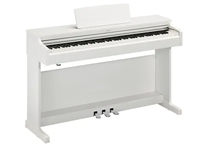 Image de Yamaha YDP-165 WH