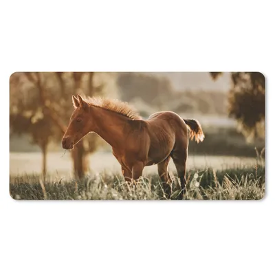 Produktbild von MuchoWow® Schreibtischunterlage Pferd - Licht - Wiese 80x40 cm - XXL Mauspad - Gaming Mauspad