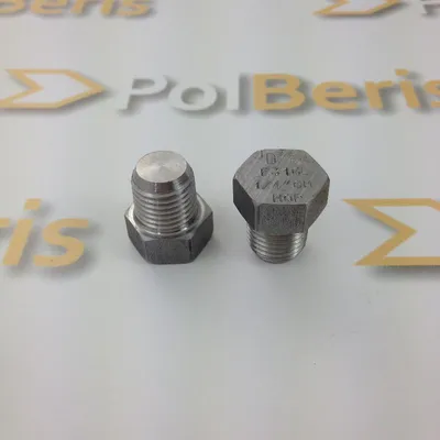 Produktbild von POLBERIS Stopfen 1 1/4'' NPT aus Edelstahl 304L