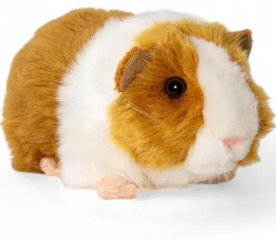 Produktbild von Carl Dick Meerschweinchen braun-weiß, ca. 20cm 2575001 Kuscheltier, Plüschtier, Stofftier