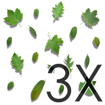 Productafbeelding van Solidchoice - Set van 18 Decoratieve Stickers in Boombladeren Thema