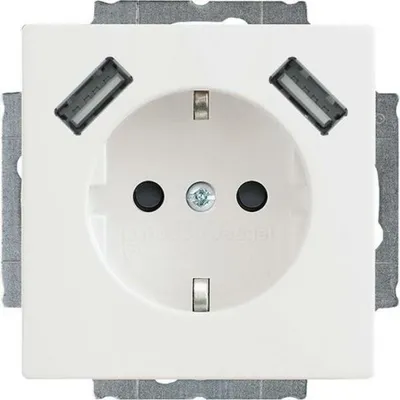 Zdjęcie produktu dla Busch-Jaeger SCHUKO-2x Gniazdo USB 20 EUCB2USB-84 2CKA002011A6273