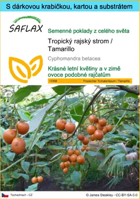Obrázek produktu pro SAFLAX Dárková sada - Tropický rajský strom / Tamarillo - Cyphomandra betacea - 50 Semena - S dárkovou krabičkou, přepravním štítkem, dárkovou kartou a pěstebním médiem