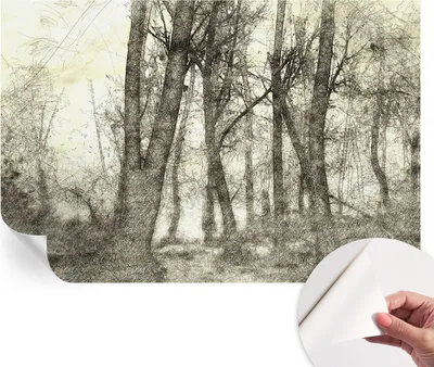 Produktbild von Selbstklebende Wandtapete - Dekorative Tapete für Wohnzimmer - Klebefolie für Wandbilder - Tapetenfolie für Wanddekoration - 104x70 cm - Waldmelancholie