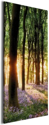 Produktbild von Wallario Premium Leinwandbild Blaue Hasenglöckchen im Wald mit Sonnenstrahlen in Größe 50 x 125 cm