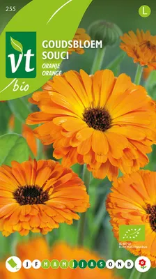 Immagine prodotto di Semi di calendula arancione - Circa 2 gr | VT_255