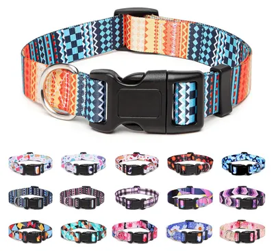 Produktbild von Hundehalsband aus Nylon, verstellbar und bequem für Hunde und Katzen (Größe S, Orange)