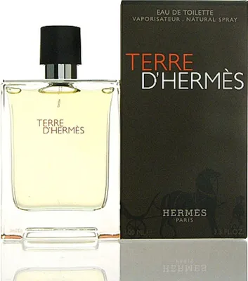 Obrázok produktu pre Hermes Terre D'Hermes toaletná voda v spreji 100ml