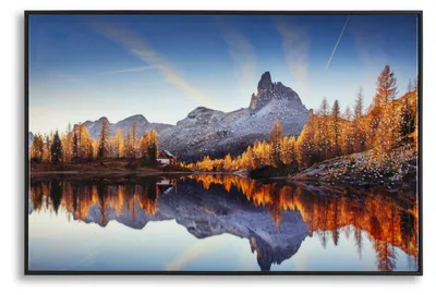 Obrázok produktu pre Obraz na stenu, rám: Cornice, rozmer: 60 x 90 x 4 cm, materiál rámu: kov, motív: borovica, podklad: plátno, farby: viacfarebný