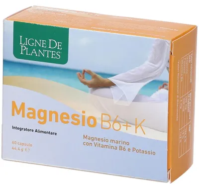 Produktbild von MAGNESIUM B6 + KALIUM, 60 Kapseln