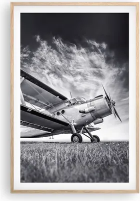 Produktbild von Gerahmtes Poster - Rahmen in heller Eiche - Flugzeug An-2 Schwarzweiß - 61x91,5 cm - Wand Bild - Wanddeko - Wandbilder - Wandposter - Bilderrahmen - Bilder - Kunstdruck - Wandbild - P2NPA61x91-4363