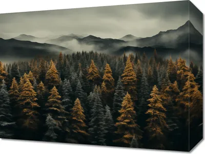 Zdjęcie produktu dla Obraz 40x30cm Mglisty Poranek