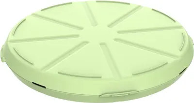 Image de Boîte à pizza 'ToGo' - boîte de rangement pour pizza sans BPA Boîte en plastique réutilisable en matériau recyclable - vert convivial