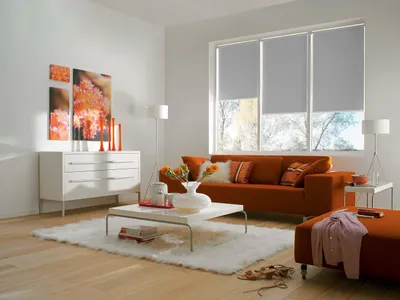 Immagine prodotto di Tenda a rullo, poliestere, grigia, 80 x 180 cm