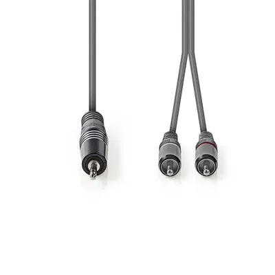 Immagine prodotto di Cavo audio stereo Nedis - 3,5 mm maschio - 2x RCA maschio - Nichelato - 3,00 m - Rotondo - Grigio scuro - Custodia di cartone