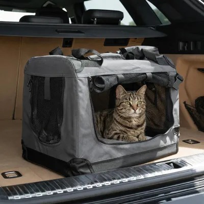 Immagine prodotto di Trasportino per gatti Belviona, borsa da trasporto leggera e robusta, pieghevole con finestre in rete, cuscino interno e tasche, 50x34x36 cm, grigio scuro