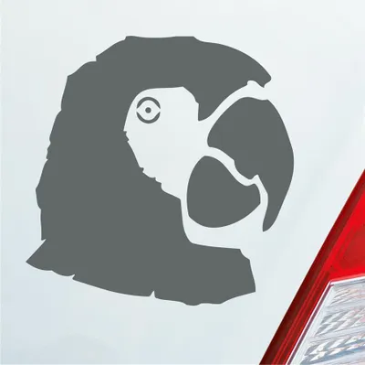 Produktbild von Auto Aufkleber Papagei Ara Vogel Bird Tier Tuning 10x10 cm Grau Sticker Heckscheibenaufkleber