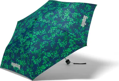 Produktbild von ergobag Regenschirm DrachenbezwingBär