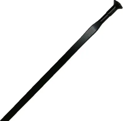 Obrázok produktu pre Mavic Crossroc 29 zadná pravá špica 12 kusov čierna 293 mm čierna 293 mm